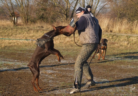 The christmas training 27.12.2006